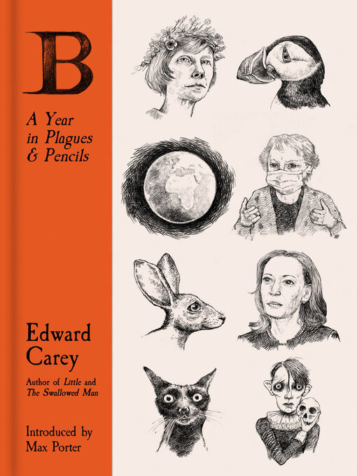 Title details for B by Edward Carey - Wait list